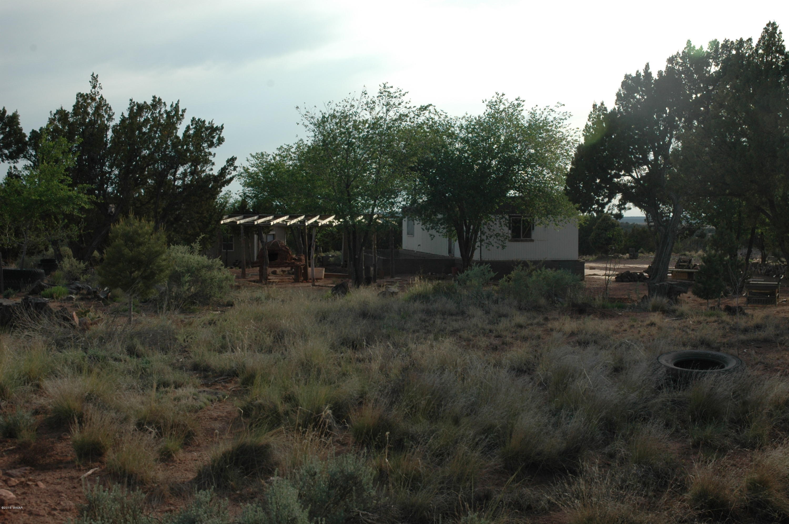 2736 Zaidee Road Show Low, AZ 85901 - Photo 51 of 53