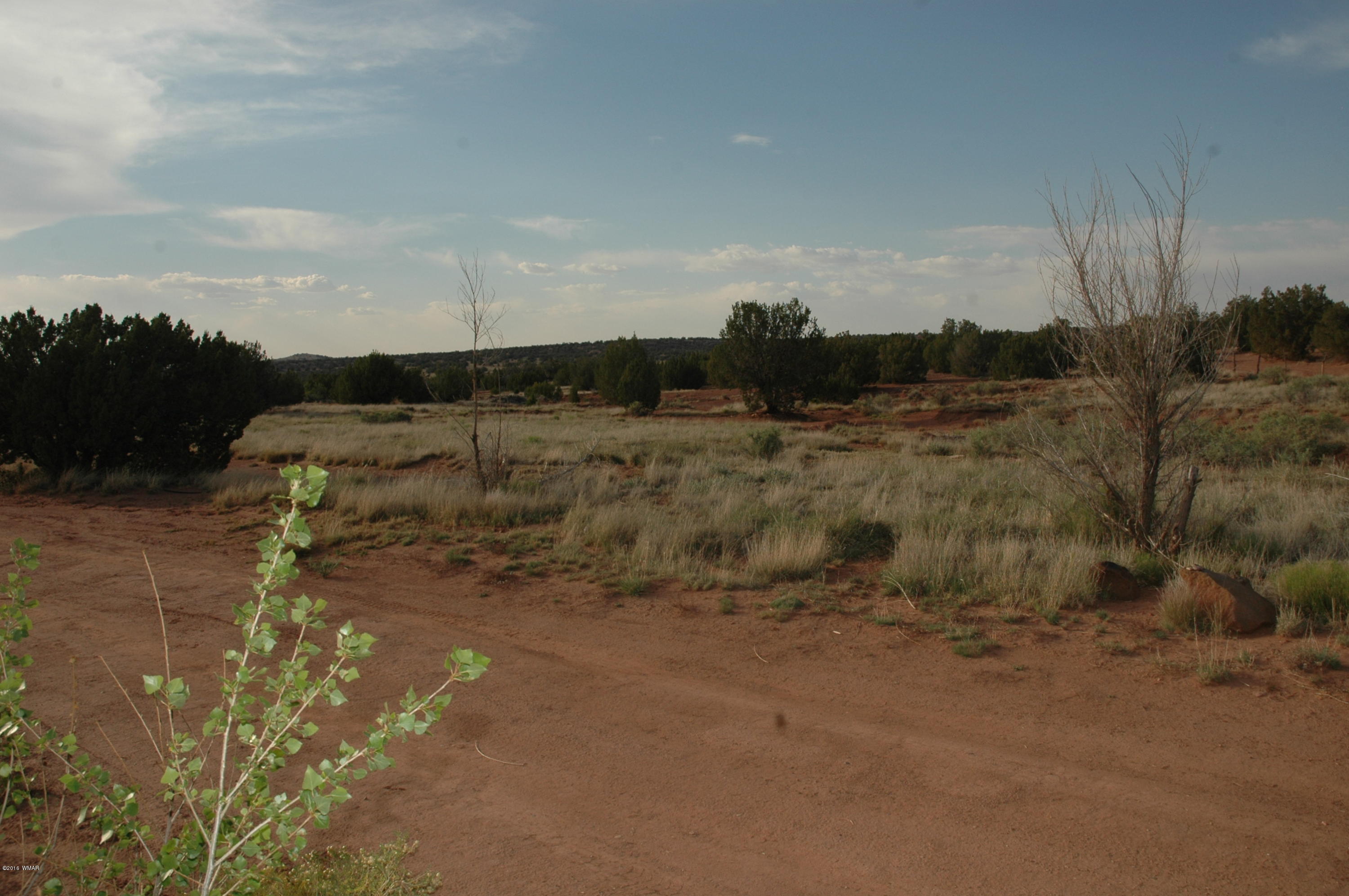 2736 Zaidee Road Show Low, AZ 85901 - Photo 53 of 53