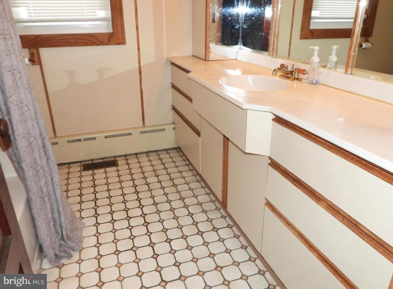 131 Princeton Road Audubon, NJ 08106 - Photo 20 of 32 Main level bath