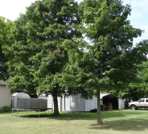 $249,000 | 504 West Dakota Street, Butler, MO 64730