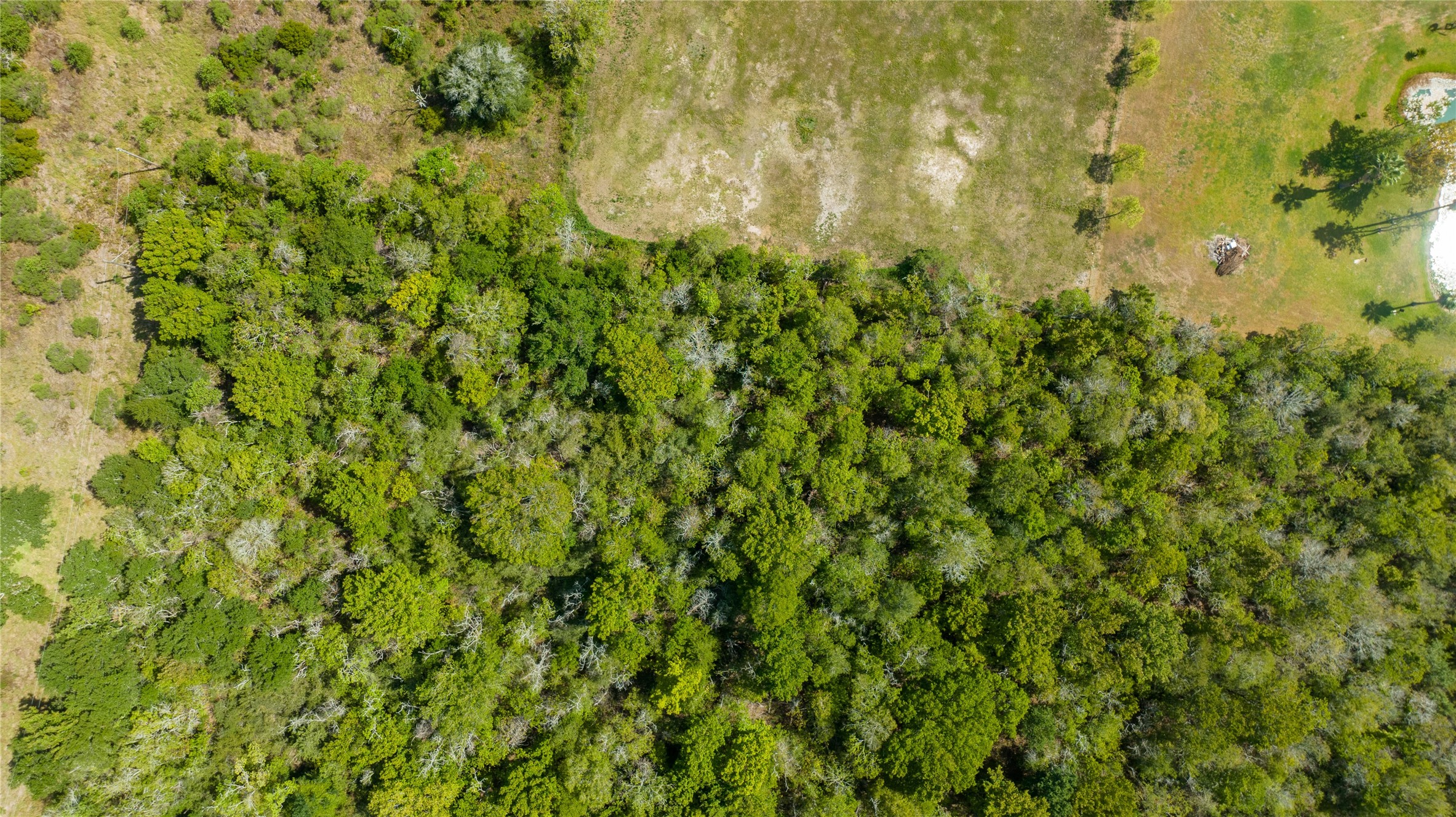 8321 FM 517 Road East Dickinson, TX 77539 - Photo 2 of 7