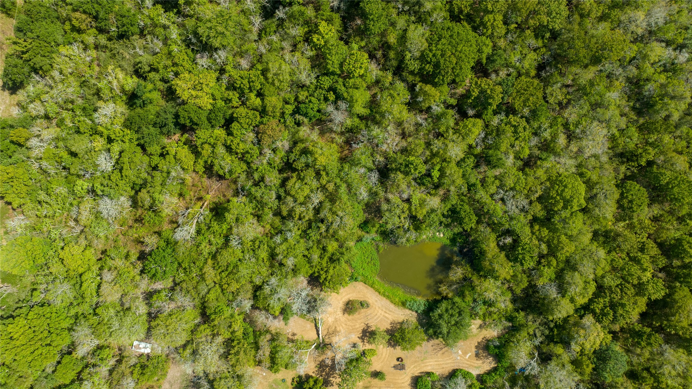 8321 FM 517 Road East Dickinson, TX 77539 - Photo 6 of 7