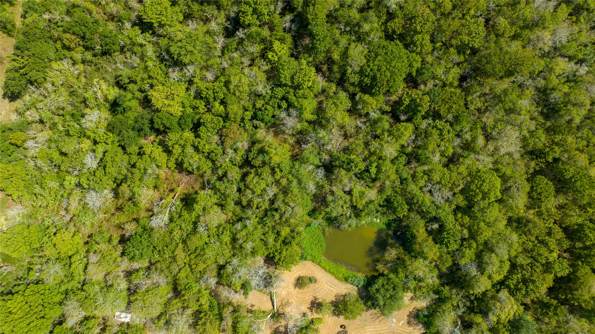 8321 FM 517 Road East Dickinson, TX 77539 - Photo 7 of 7