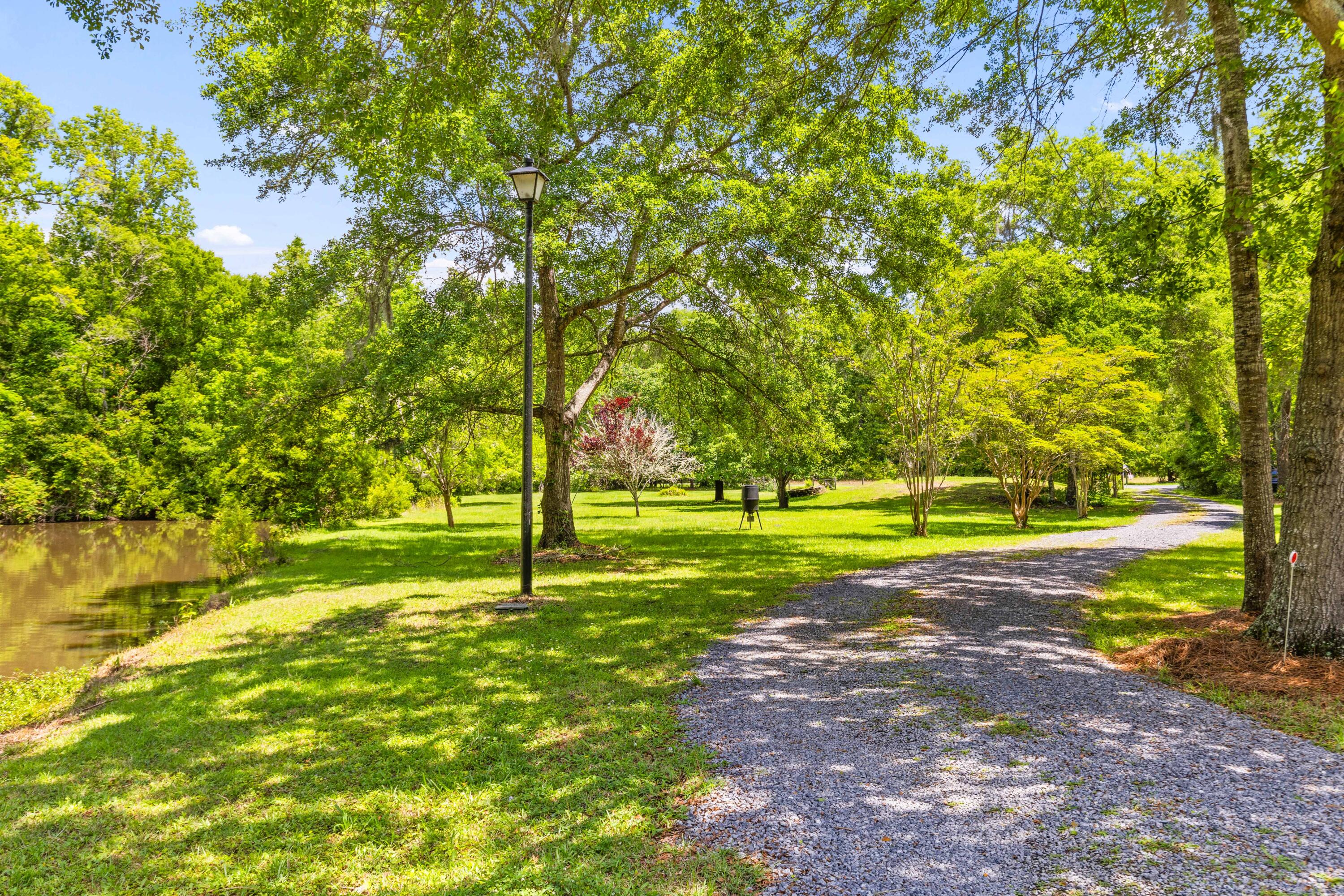 6035 Bay Pond Road Ravenel, SC 29470 - Photo 3 of 25 1G1A0043