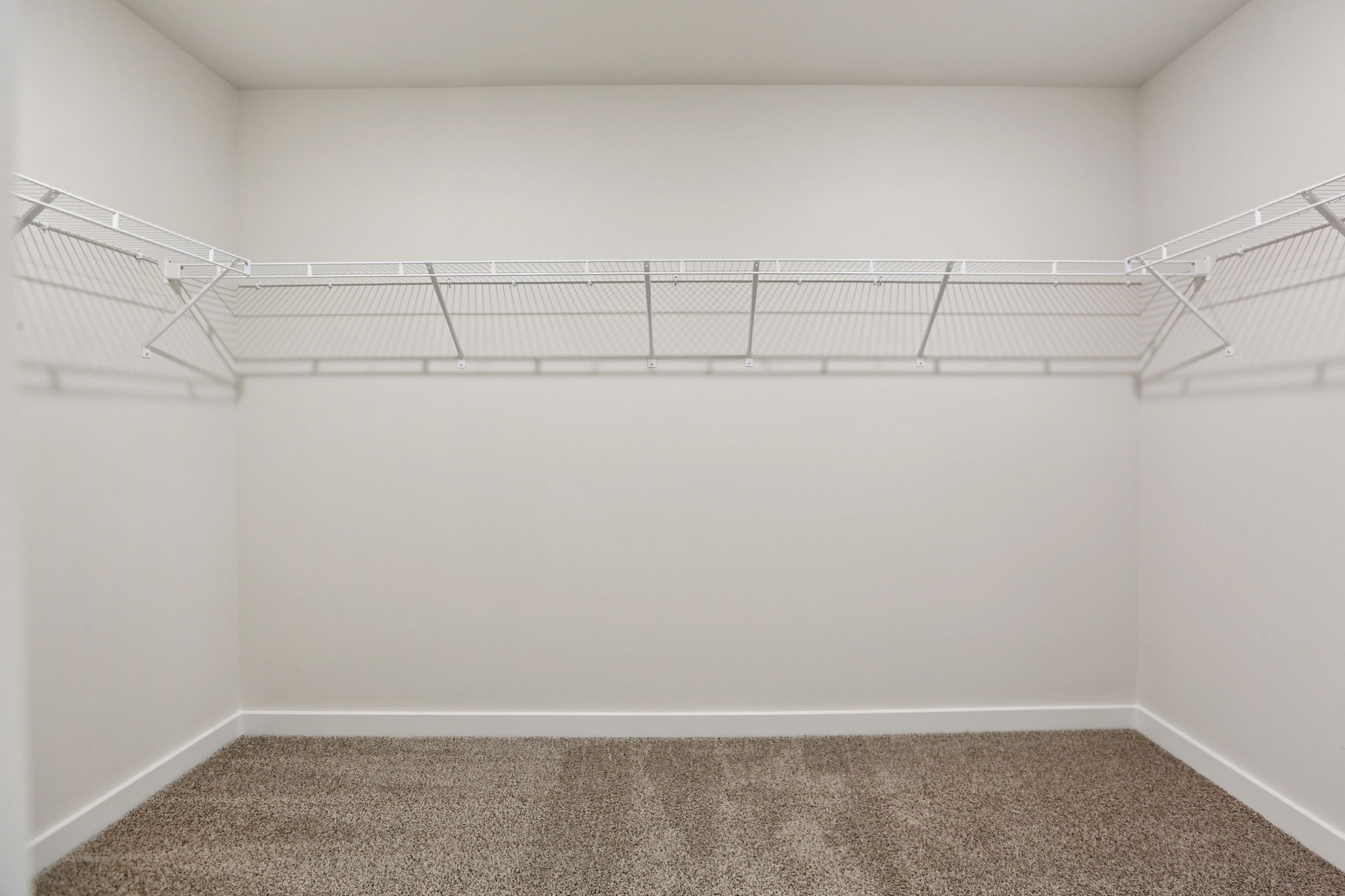 3823 Hallanday Drive Murfreesboro, TN 37128 - Photo 49 of 59 a view of a room with racks on the wall