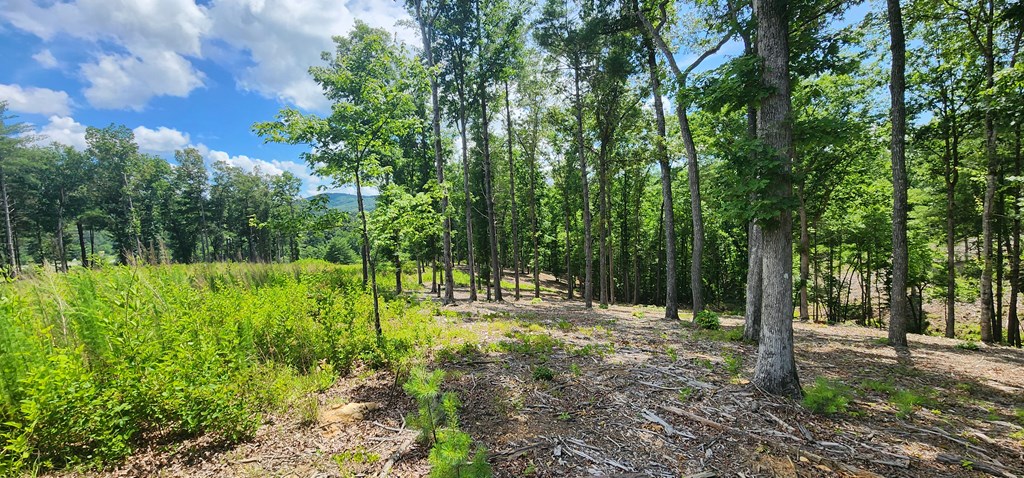 106 Split Creek Road Morganton, GA 30560 - Photo 3 of 10 Gallery Image 3