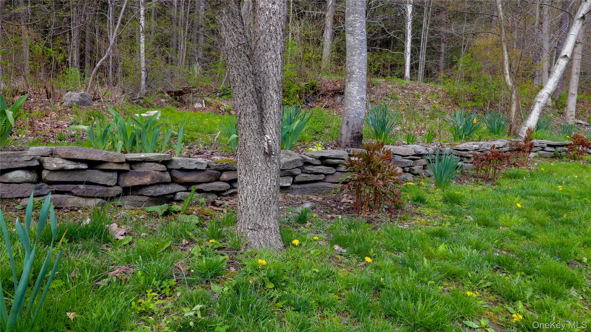 11 Hood Road Roscoe, NY 12776 - Photo 32 of 35 a view of a garden with a bench in a yard