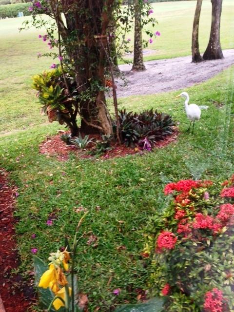 7299 Panache Way Boca Raton, FL 33433 - Photo 21 of 25 VIEW FROM PATIO