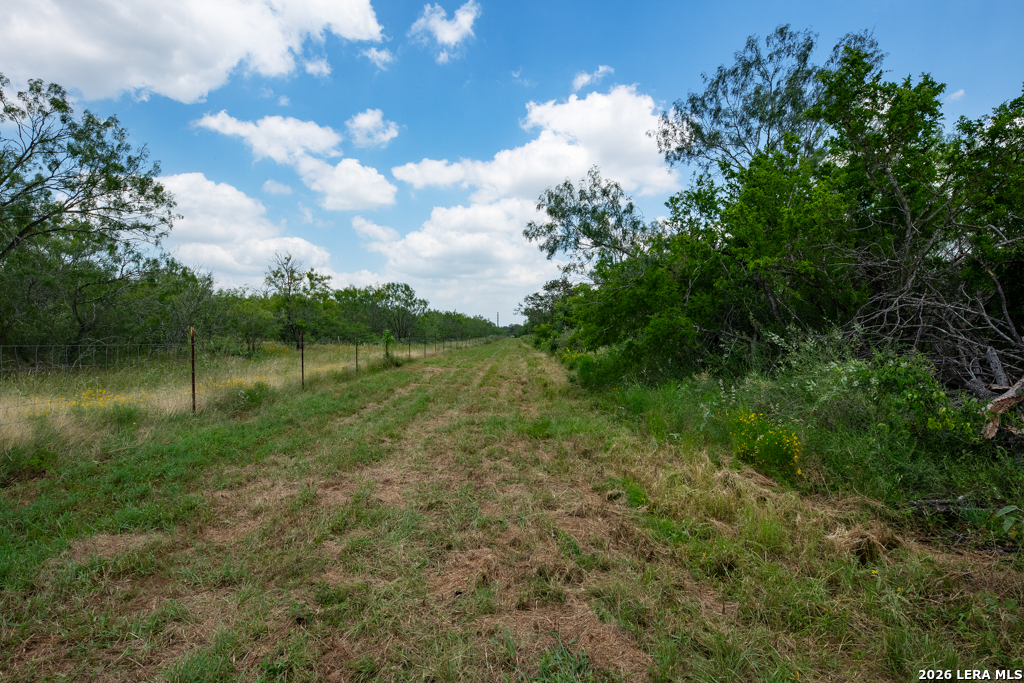1393 Fox Trotter Road Seguin, TX 78155 - Photo 16 of 46