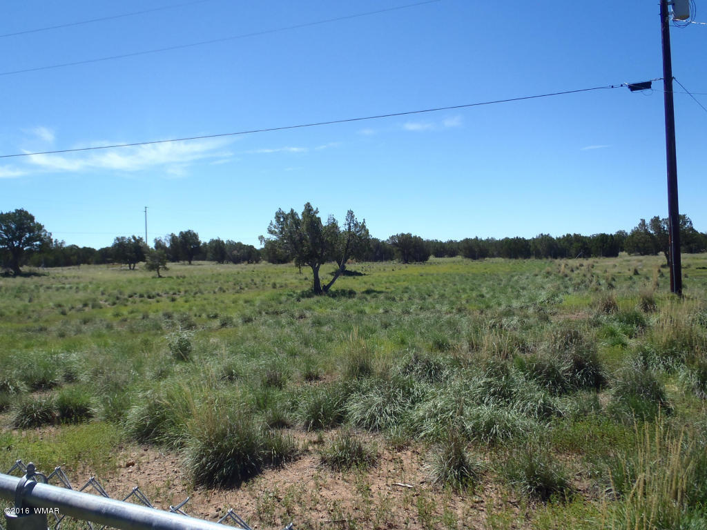 2342 Laguna Road Show Low, AZ 85901 - Photo 15 of 18