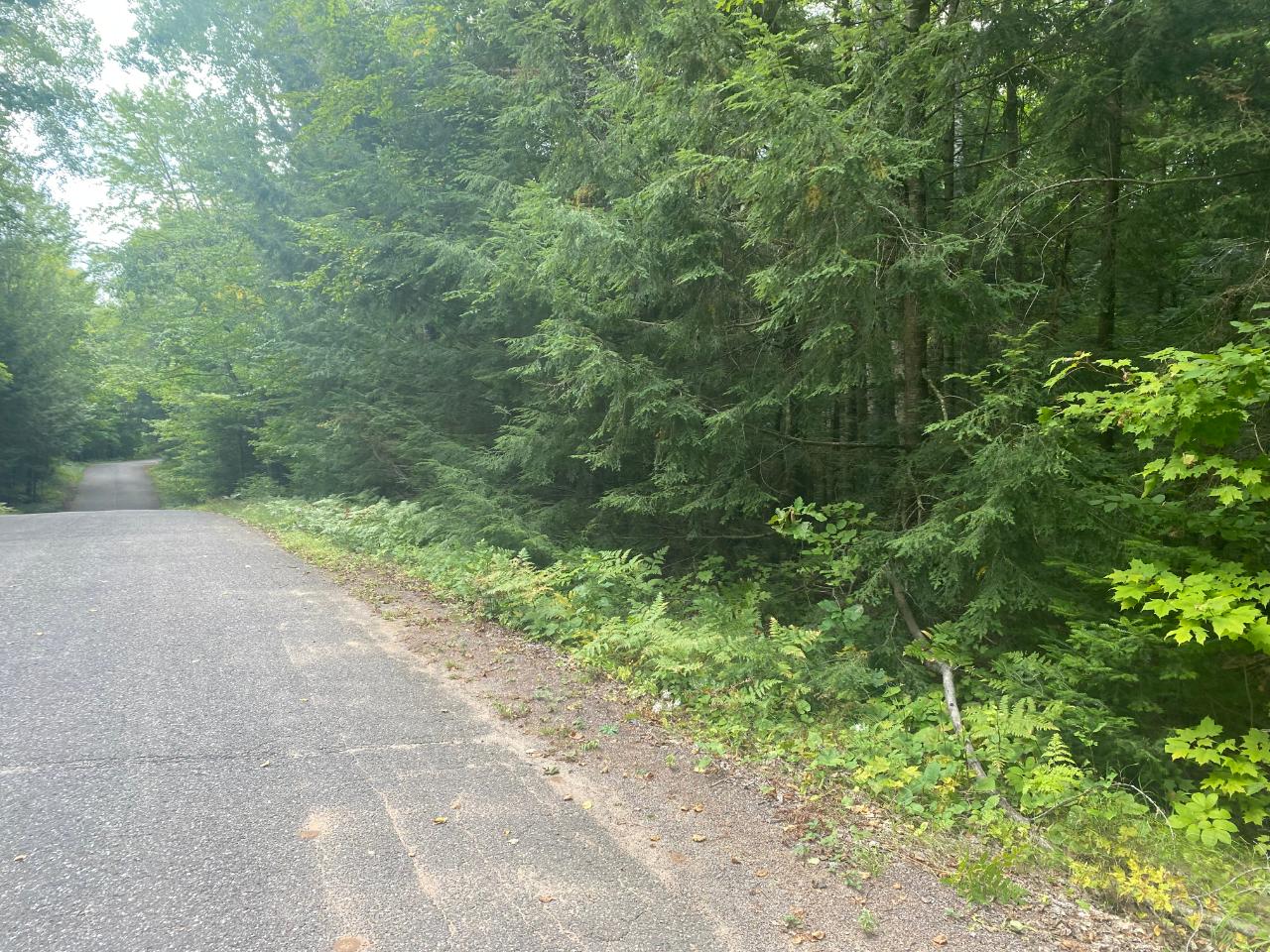 On Black Oak Road Minocqua, WI 54548 - Photo 2 of 9 Gallery Image 2