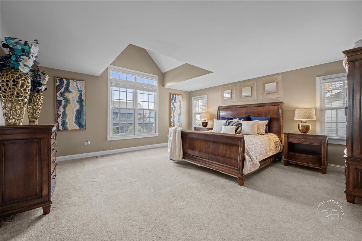 427 South Sleight Street Naperville, IL 60540 - Photo 15 of 37