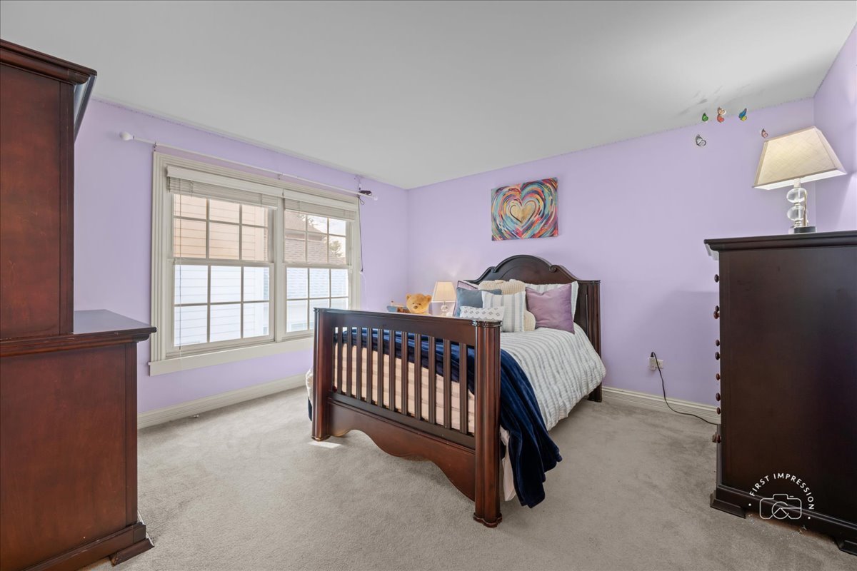 427 South Sleight Street Naperville, IL 60540 - Photo 17 of 37