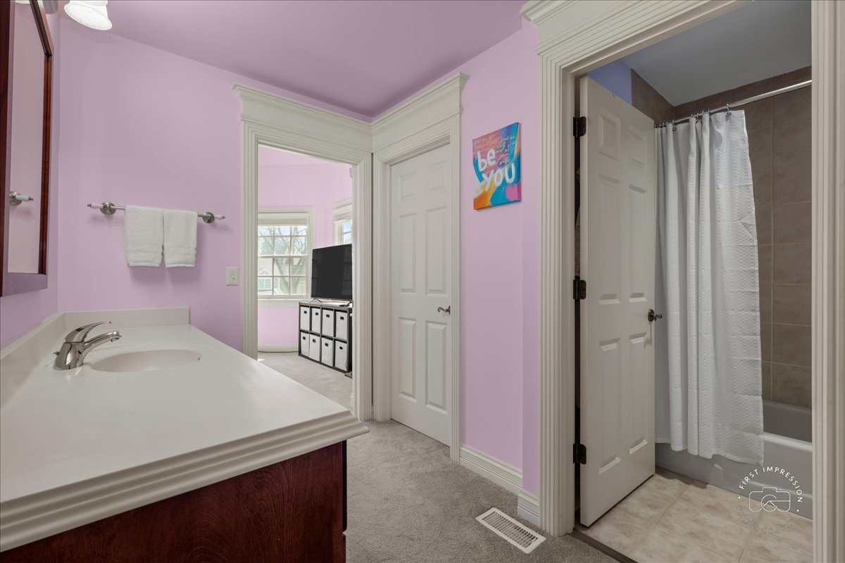 427 South Sleight Street Naperville, IL 60540 - Photo 18 of 37