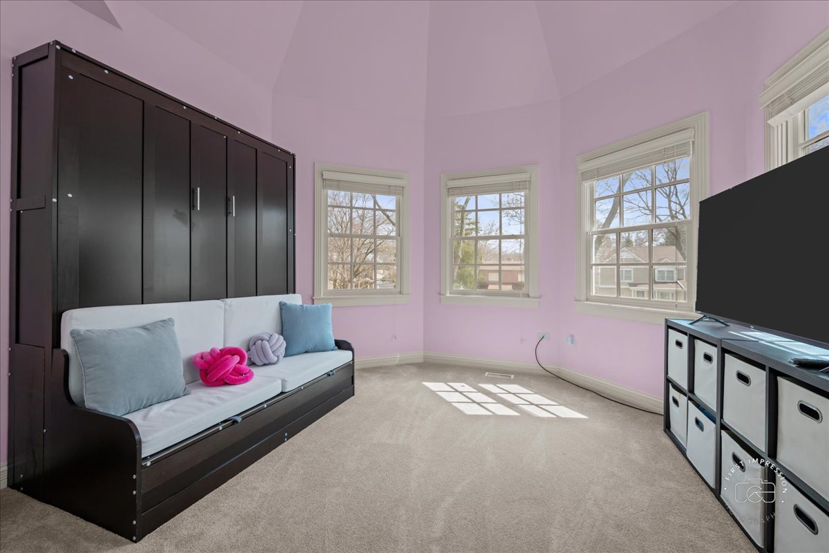 427 South Sleight Street Naperville, IL 60540 - Photo 19 of 37