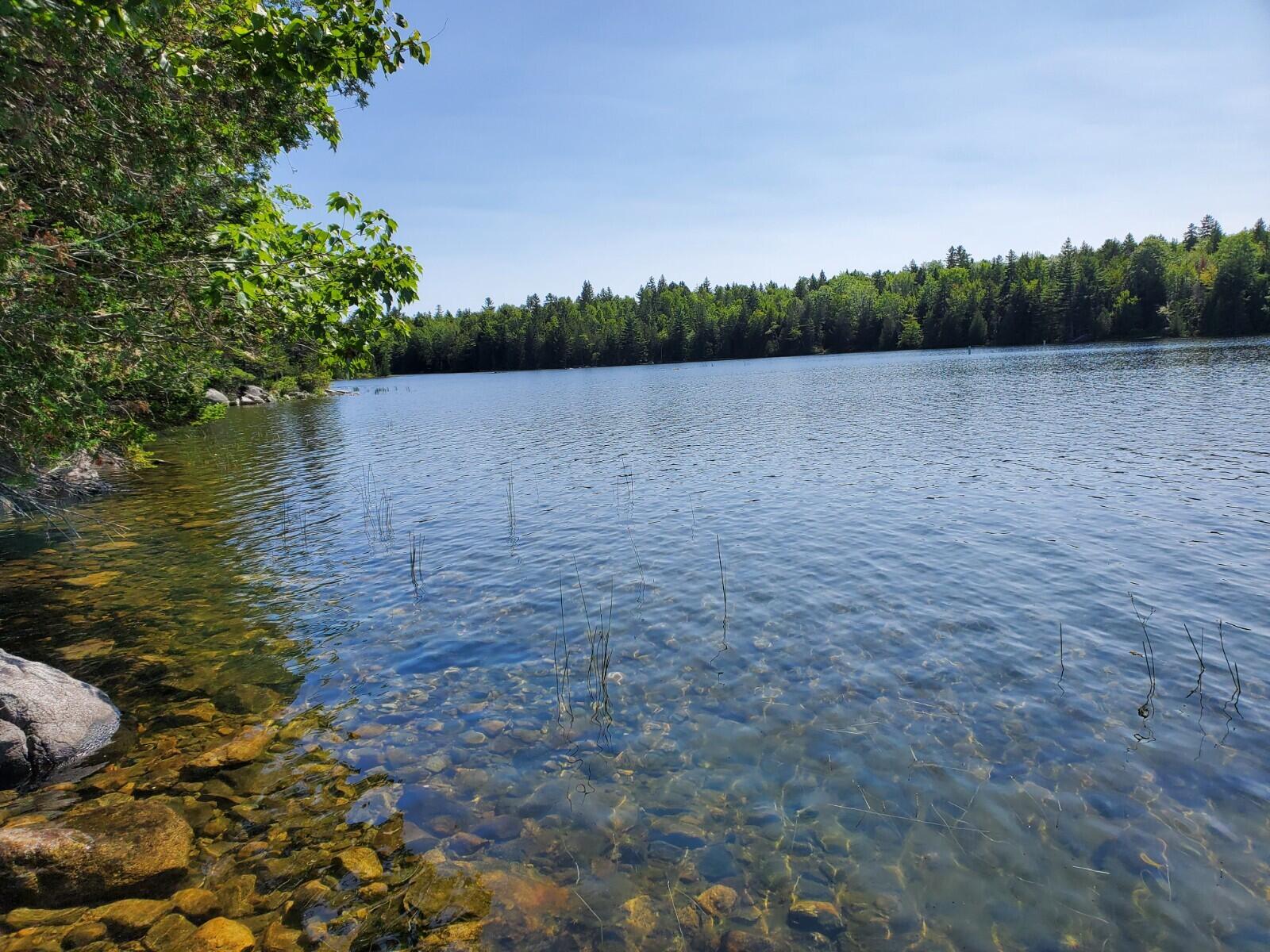 Lot 8 East Ridge Road Cooper, ME 04657 - Photo 3 of 14 20210816_141703