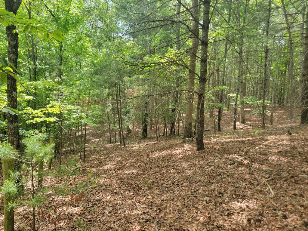 44 Sugar Maple Road Murphy, NC 28906 - Photo 11 of 11