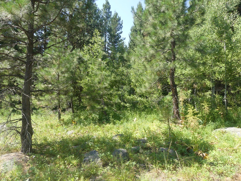 1625 Lakeridge Drive, Unit 24 McCall, ID 83638 - Photo 11 of 12