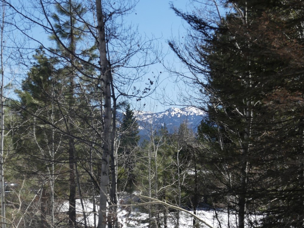 1625 Lakeridge Drive, Unit 24 McCall, ID 83638 - Photo 2 of 12