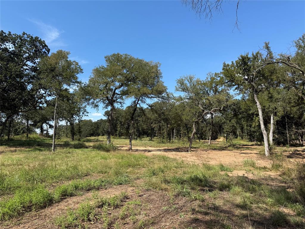 1917 Wildcat Circle Gholson, TX 76705 - Photo 11 of 16 a view of outdoor space with green field and trees