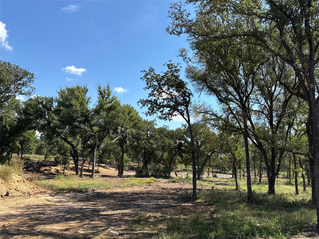 1917 Wildcat Circle Gholson, TX 76705 - Photo 12 of 16 a view of a yard with a tree