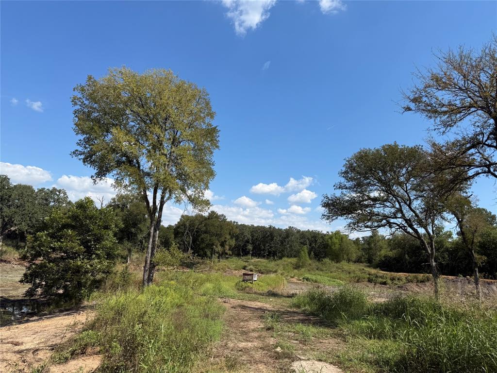 1917 Wildcat Circle Gholson, TX 76705 - Photo 13 of 16 a view of a lush green space