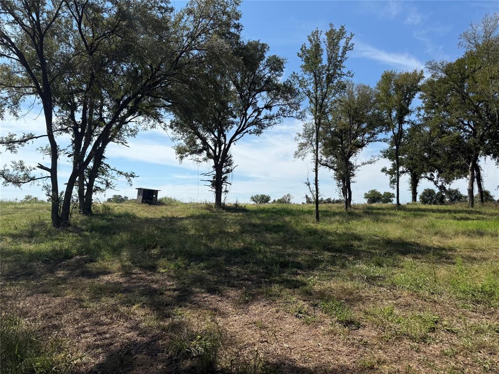 1917 Wildcat Circle Gholson, TX 76705 - Photo 14 of 16 a view of grassy field with trees