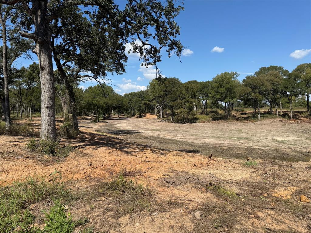 1917 Wildcat Circle Gholson, TX 76705 - Photo 15 of 16 a view of a yard with trees in the background
