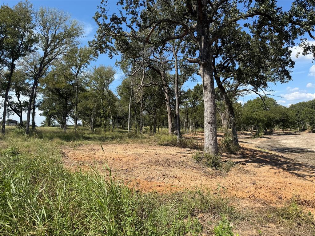 1917 Wildcat Circle Gholson, TX 76705 - Photo 16 of 16 a view of a tree in the middle of a yard
