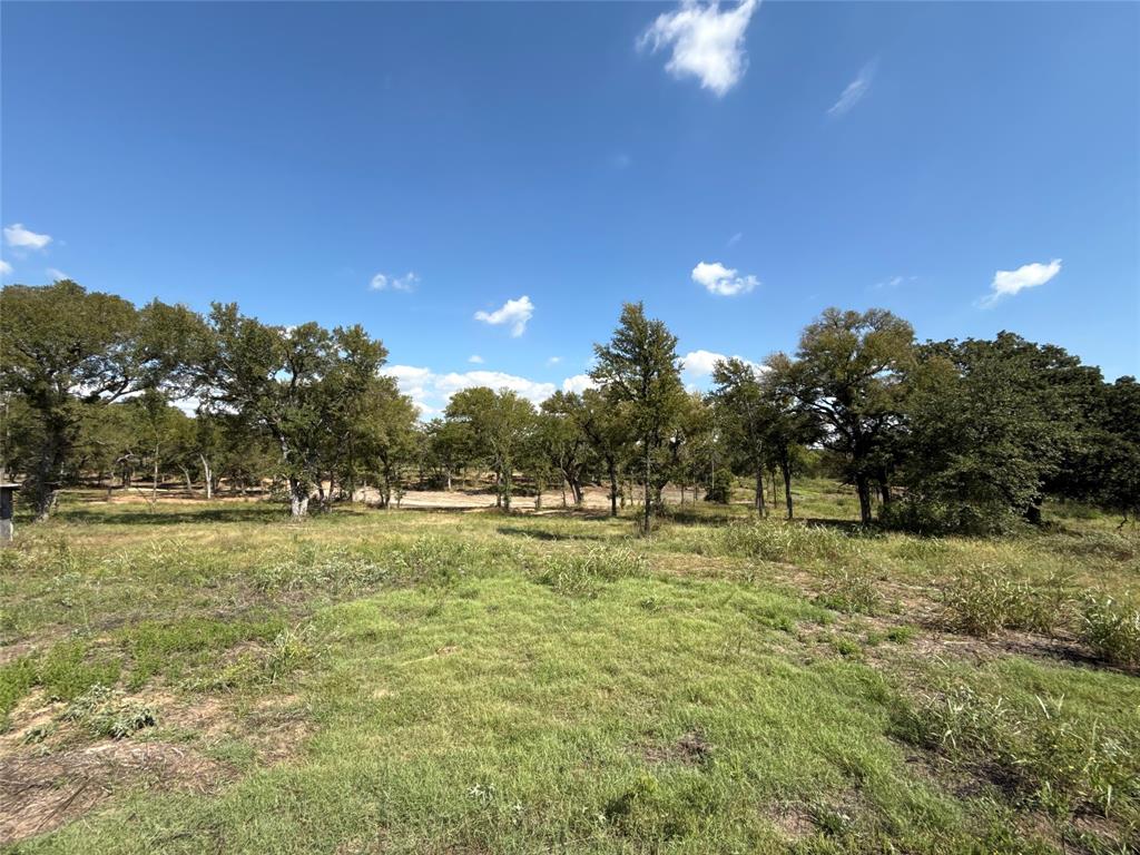 1917 Wildcat Circle Gholson, TX 76705 - Photo 8 of 16 a big yard with lots of tress in it