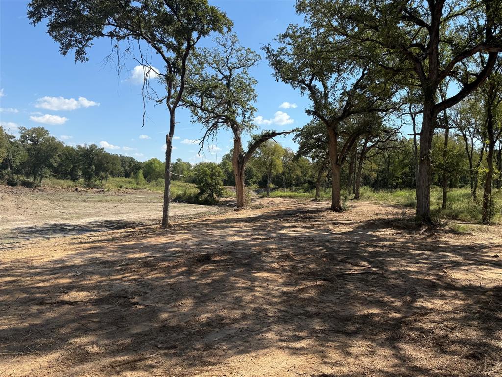 1917 Wildcat Circle Gholson, TX 76705 - Photo 9 of 16 a view of outdoor space with trees