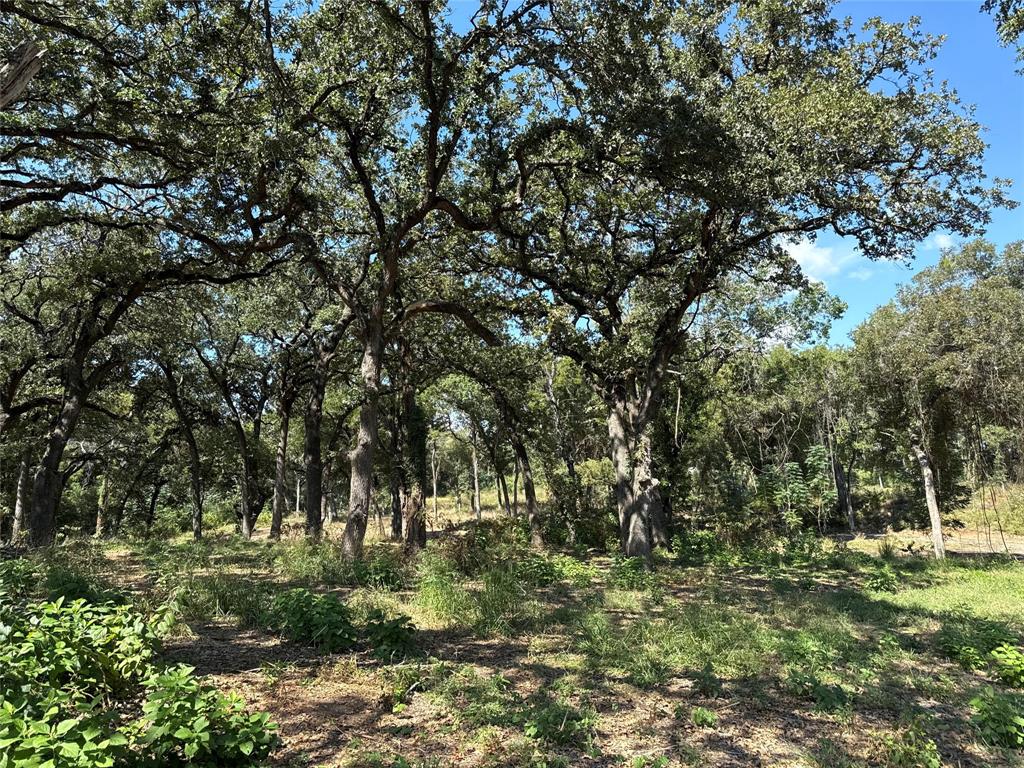 1917 Wildcat Circle Gholson, TX 76705 - Photo 10 of 16 a view of backyard with green space