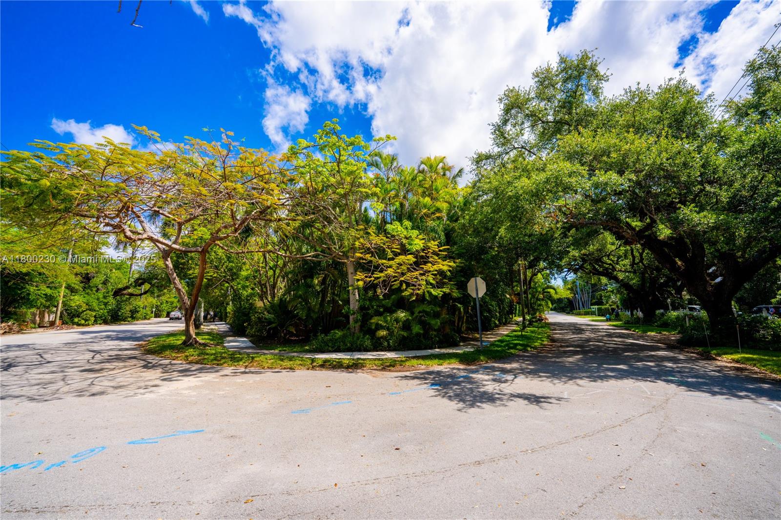 2855 Southwest 17th Avenue Miami, FL 33133 - Photo 63 of 84 Royal Poinciana on corner of 17th Avenue with Micanopy Avenue