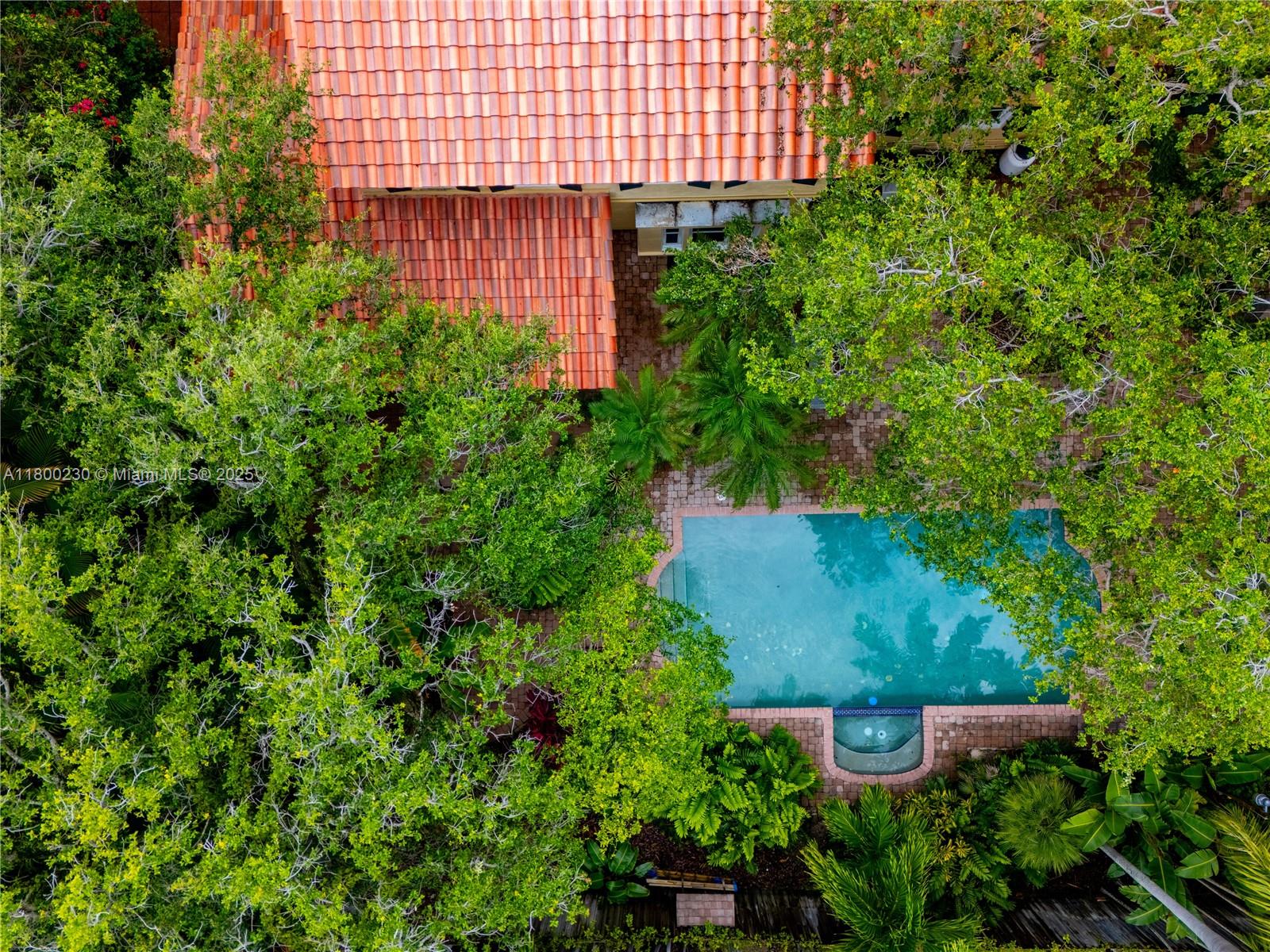 2855 Southwest 17th Avenue Miami, FL 33133 - Photo 80 of 84 Aerial view of private pool compound amongst tropical fruit trees (mangoes, starfruit, guava, guanabana, mamey and avocado)