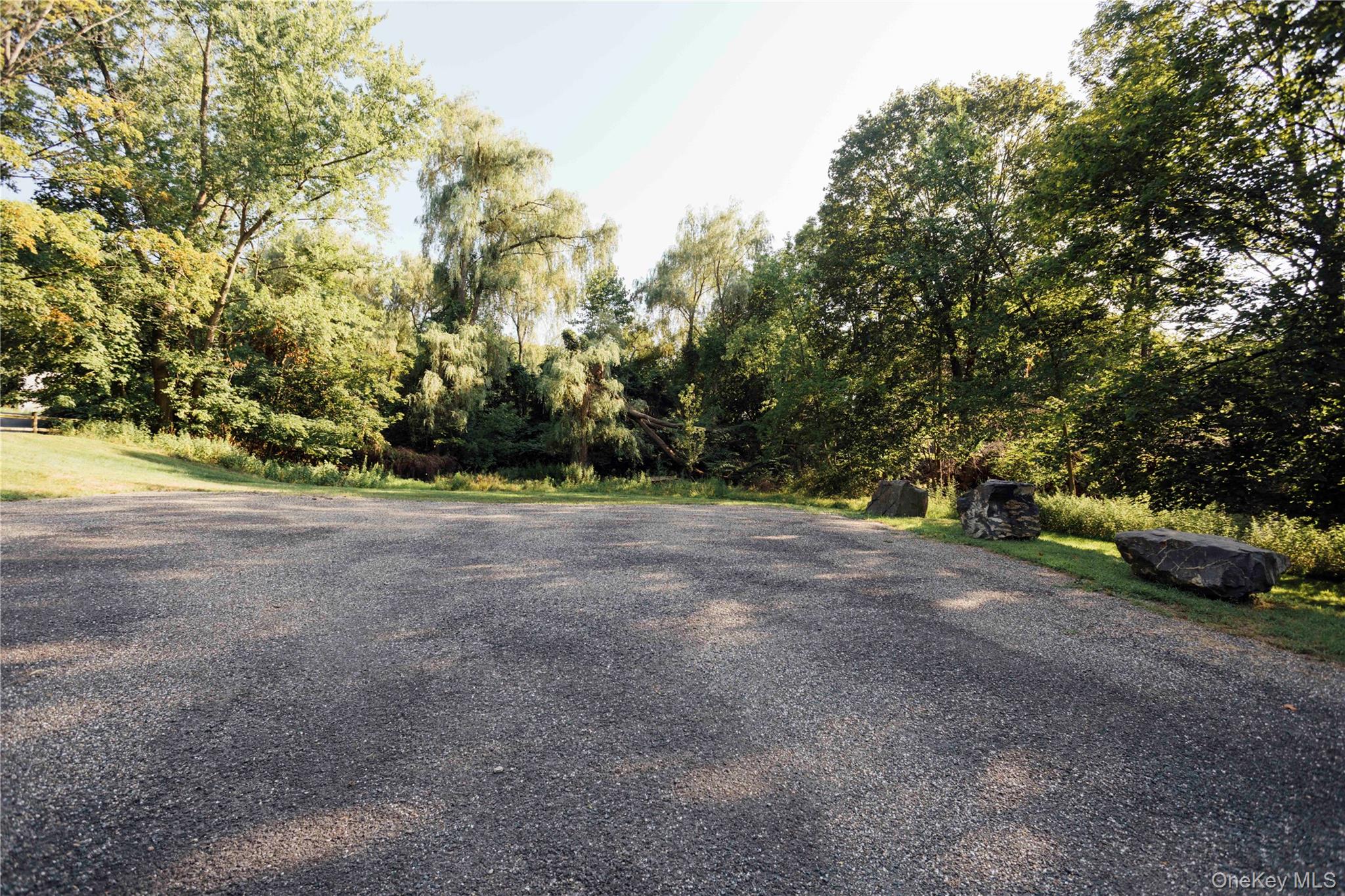 2 Locust Street Chatham, NY 12037 - Photo 17 of 29 a view of a yard with large trees