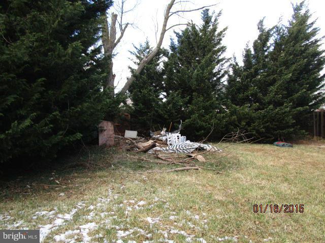 327 Adam Road Frederick, MD 21701 - Photo 3 of 4 Exterior (Rear)