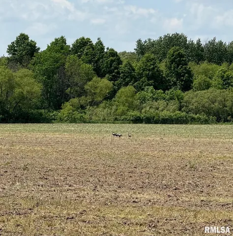 $2,200,500 | 163 M/lsaltriver Acres Lane, Shelbyville, MO 63469