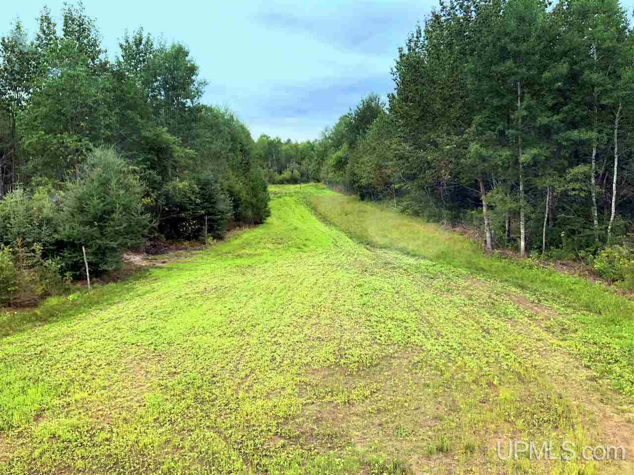 Tbd Perlot Road Felch, MI 49831 - Photo 7 of 45
