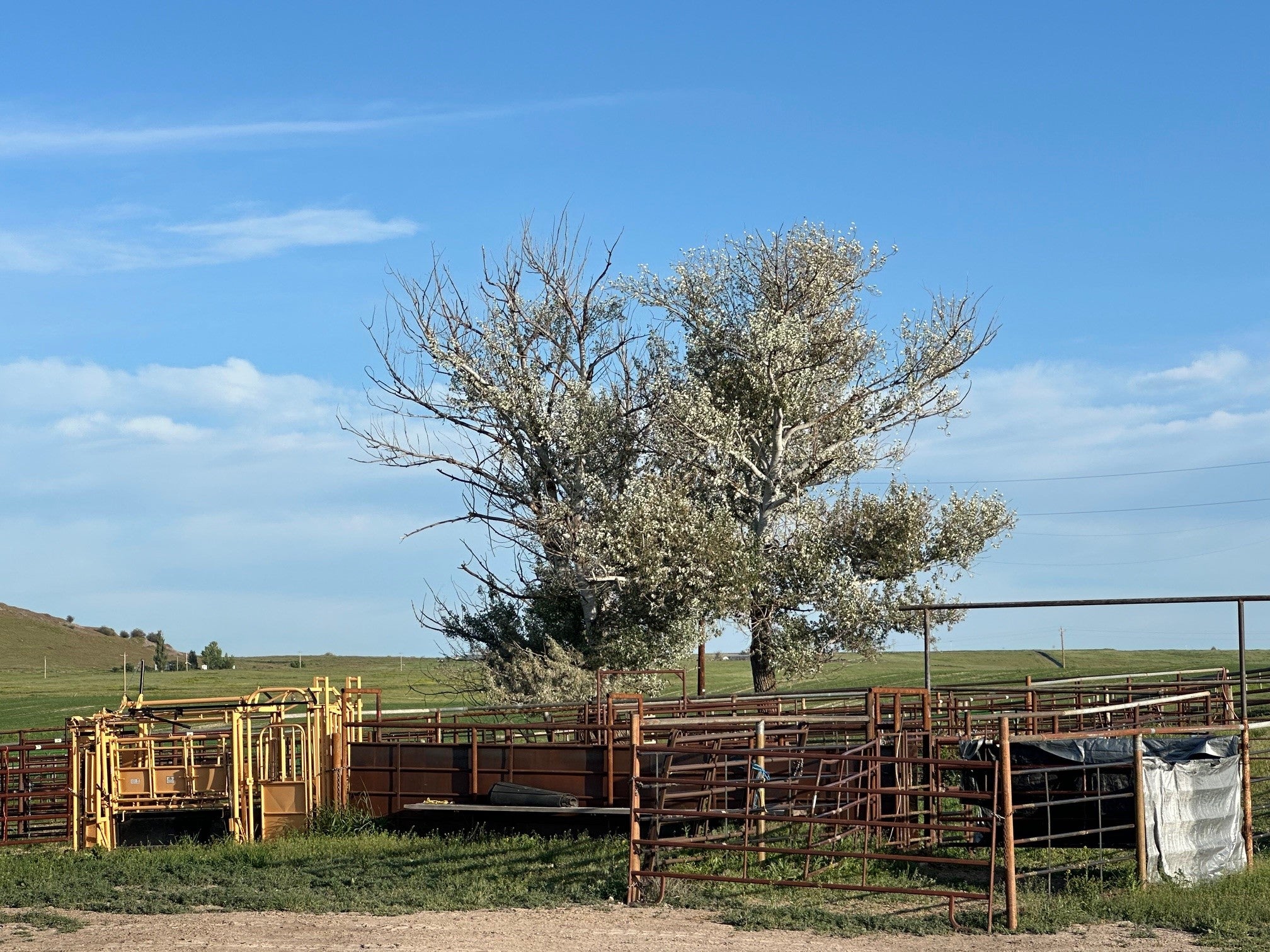 46471 Valley View Road Ronan, MT 59864 - Photo 17 of 53 Gallery Image 17