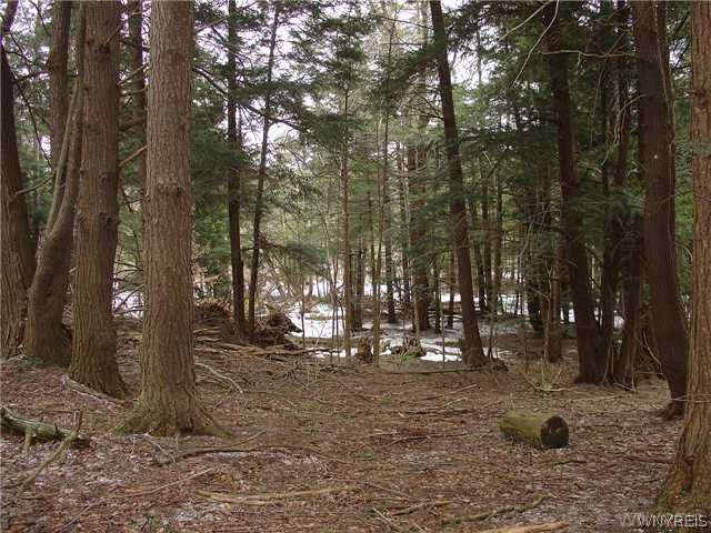 0 Hardys Road Bliss, NY 14024 - Photo 1 of 1 Land