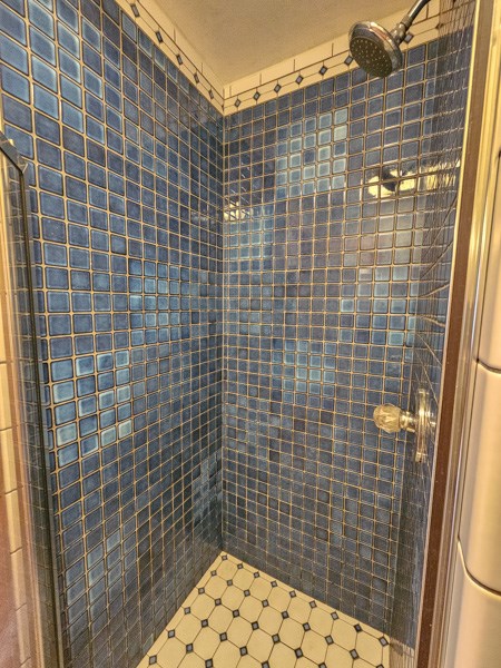 104 Pine Ridge Road Ellijay, GA 30536 - Photo 26 of 49 a bathroom with a shower