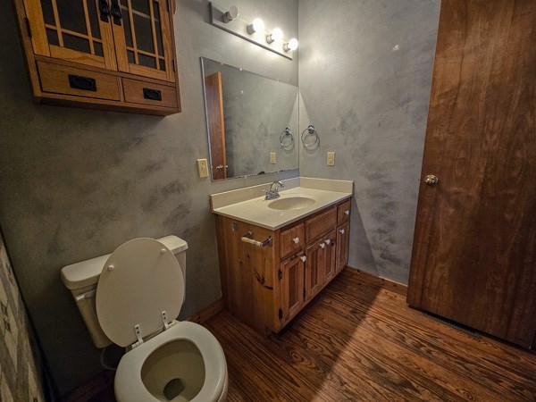 104 Pine Ridge Road Ellijay, GA 30536 - Photo 27 of 49 a bathroom with a toilet a sink and mirror