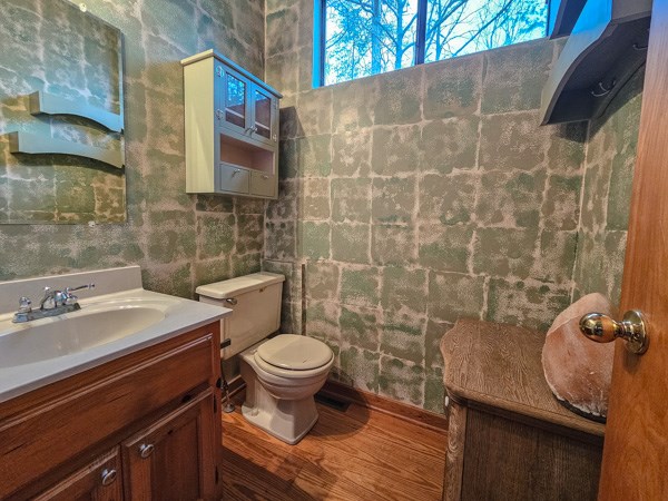 104 Pine Ridge Road Ellijay, GA 30536 - Photo 31 of 49 a bathroom with a sink and a toilet