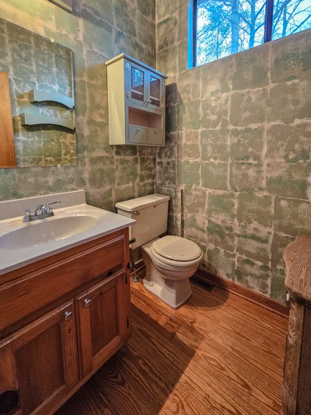 104 Pine Ridge Road Ellijay, GA 30536 - Photo 32 of 49 a bathroom with a toilet and a sink