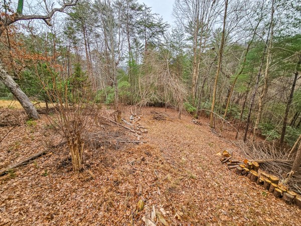 104 Pine Ridge Road Ellijay, GA 30536 - Photo 43 of 49 a view of a yard with large trees