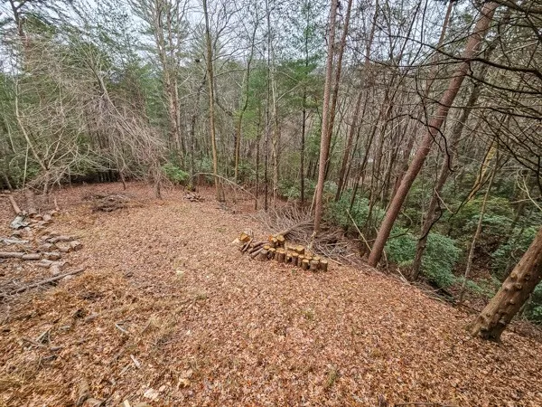 $1,800 | 109 Pine Ridge Road, Ellijay, GA 30536