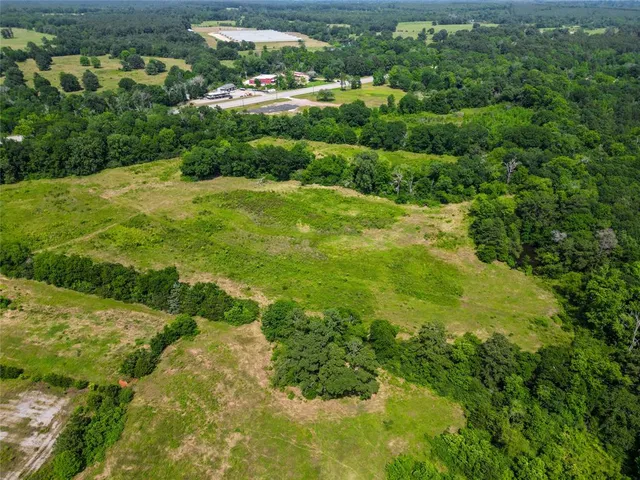 a view of a green yard with large trees