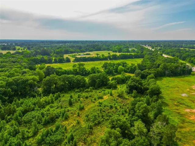 an aerial view of residential houses with outdoor space and trees
