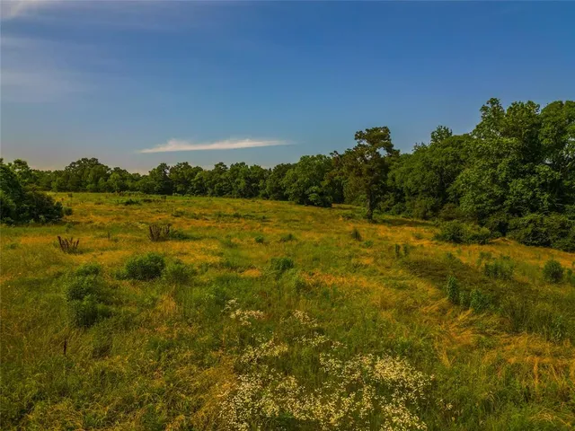 a view of an outdoor space and a yard