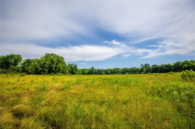 a view of a lake and a yard
